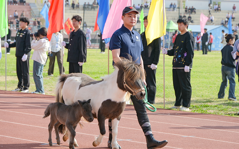青岛农业大学第四十六届田径运动会开幕式举行,领导致辞
